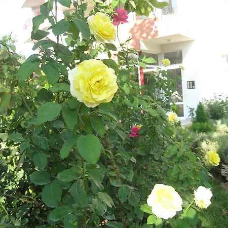 Apartment Riviera Studio Rawda